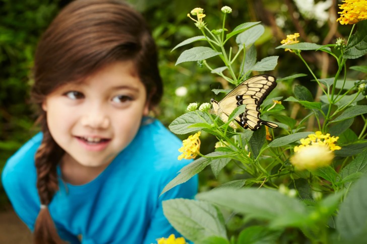 Butterfly House