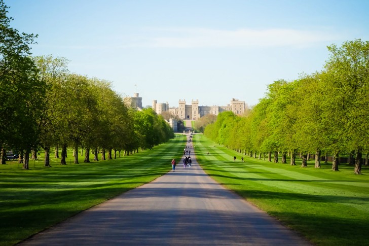 Buckingham Palace and Windsor Castle Tour