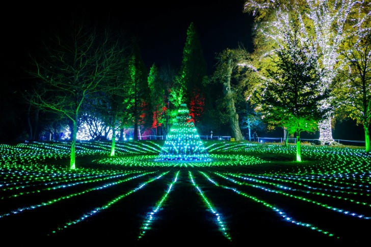 Sea of Light at Blenheim Palace