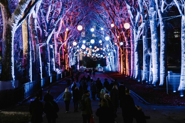 Chelsea Winter Illuminations
