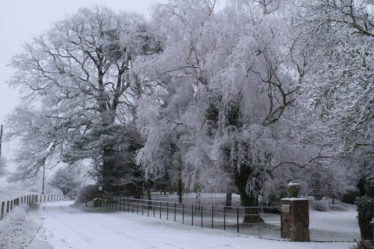 Cotswolds