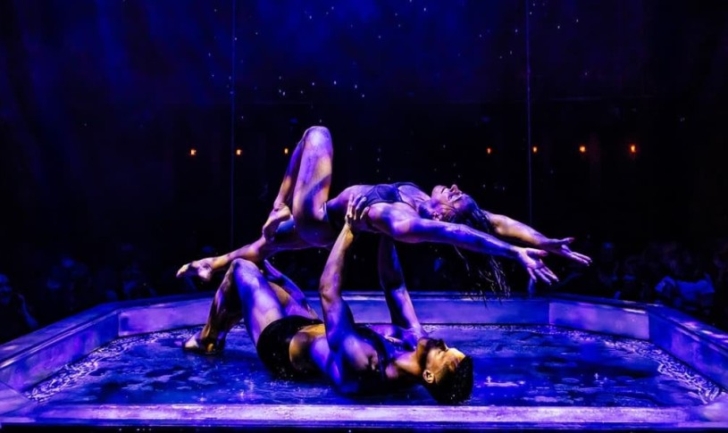 Magic Mike Live