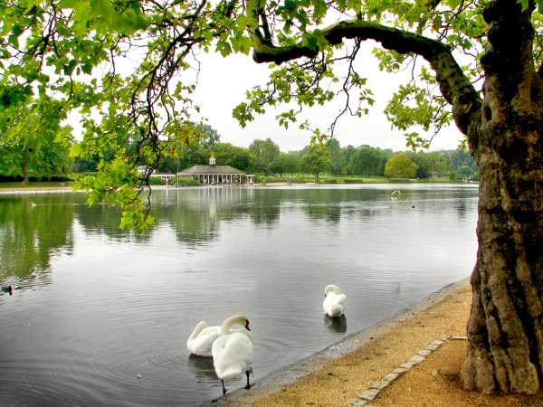Perfect Parks for Your Summer in London