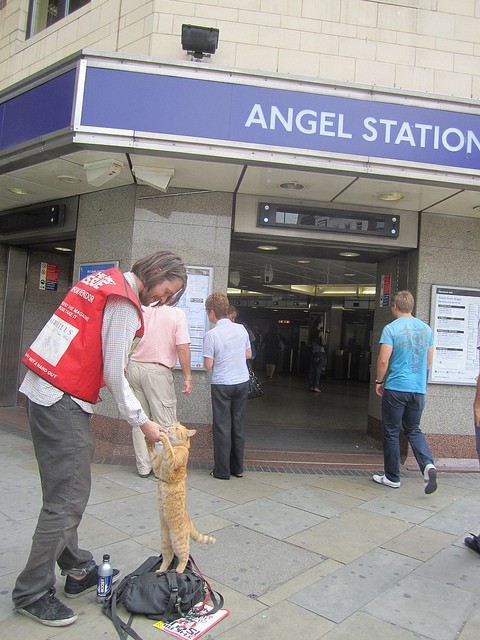 Bob the Cat outside Angel Tube Station