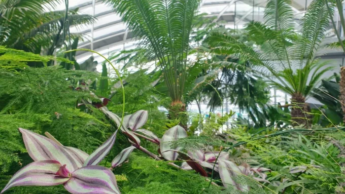 A photo of plants.