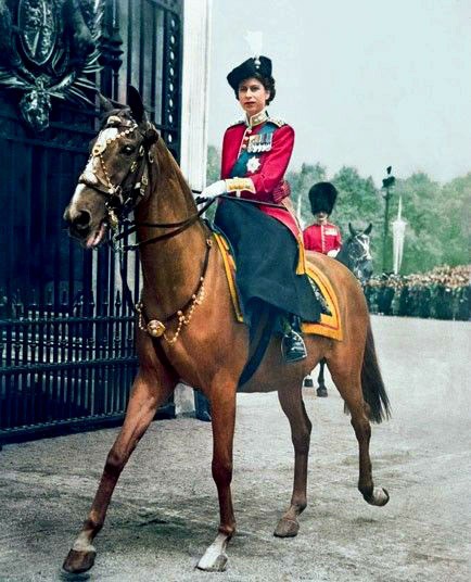 The Queen on a Horse