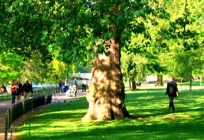 London's Best Picnic Spots