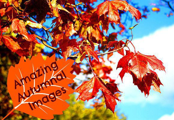 6 Pictures to Get You Excited About Autumn