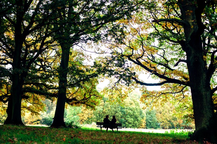 Hampstead Heath in North London