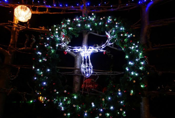 Christmas Decorations at Kew