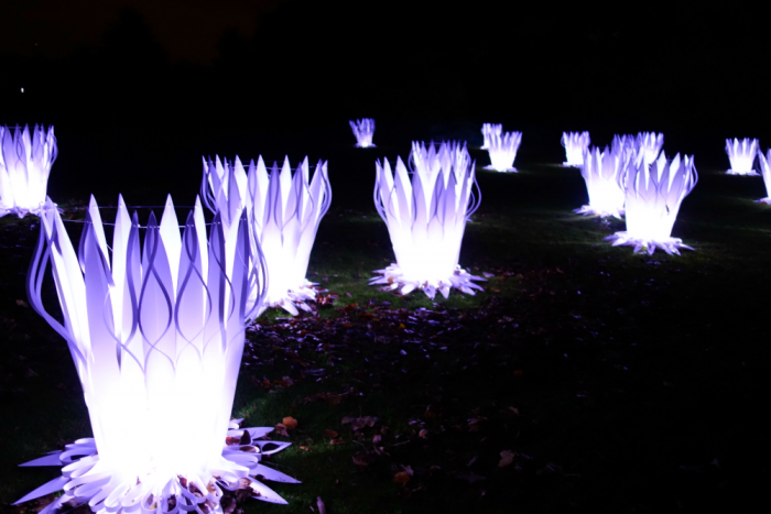 Festive Light Displays at Kew