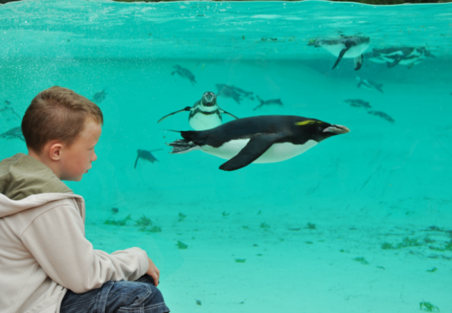 Things Your Kids Will Love To Do This Half Term