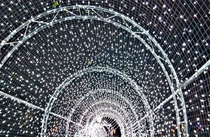 Kew Gardens Christmas lights