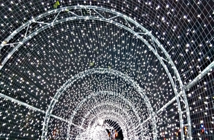 Christmas at Kew Gardens