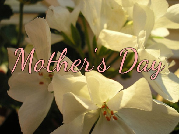 5 Beautiful Ways to Celebrate Mother’s Day