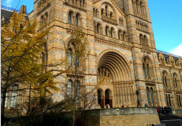 Natural History Museum