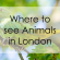Where to see Animals in London