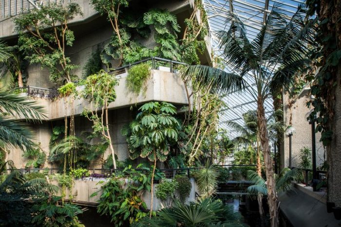 Barbican Conservatory