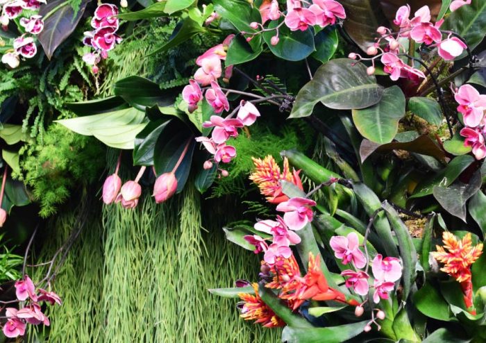 Orchid Festival at Kew Gardens