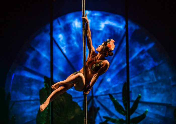 Cirque du Soleil, Luzia