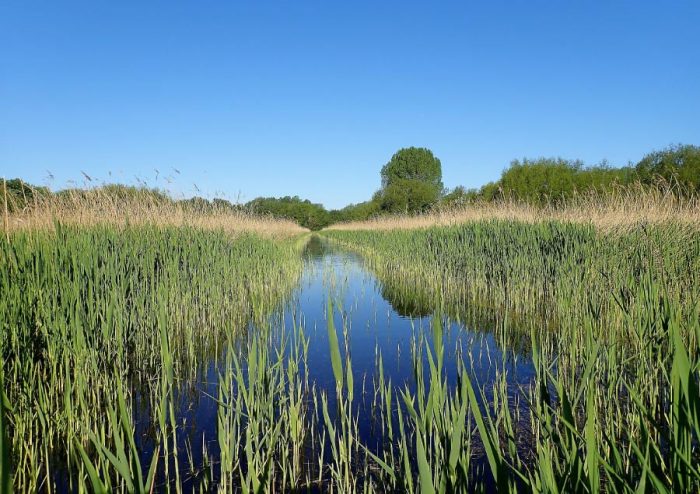 Colne Valley Regional Park