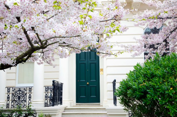 cherry_blossom_notting_hill_chelsea