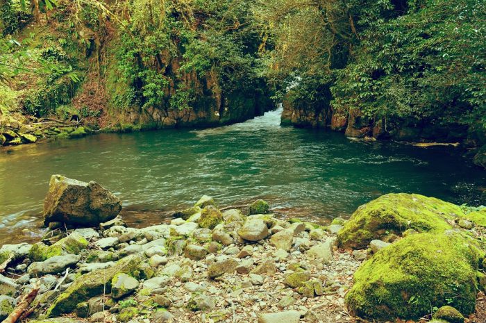 The perfect lagoon for a dip in Mtirala National Park