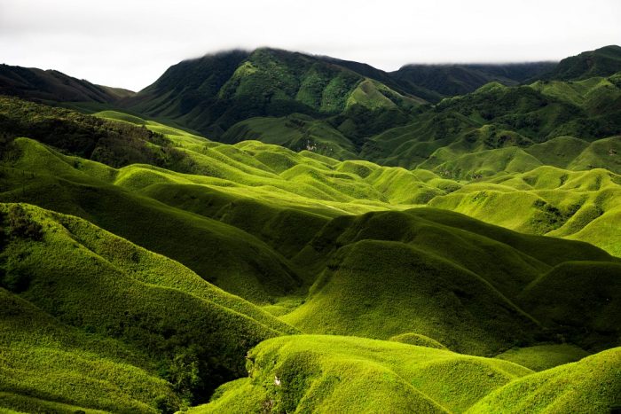 The rolling hills of Dzüko Valley in Nagaland, India