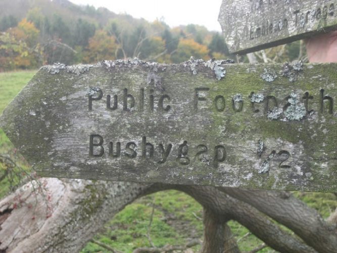 Bushy Gap is great for walking