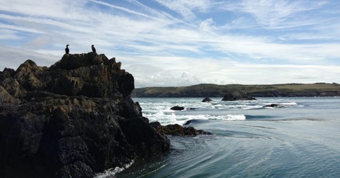 The Bitches of Pembrokeshire