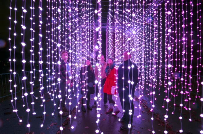 A photo of a lights exhibition with people standing in the middle of it.