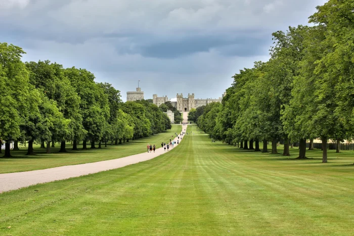 Windsor Great Park
